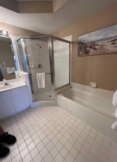 Master Bathroom Full Remodel  4