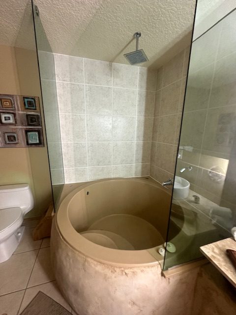 Shower Remodel 5